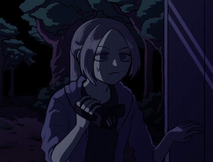 盒子里的猫咪