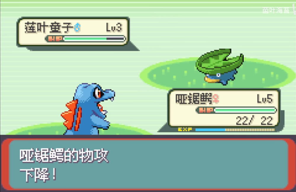 随机宝可梦