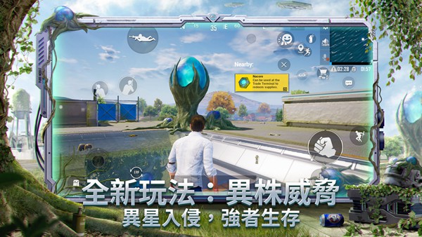 猫头king卡密分享版