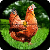 猎鸡挑战Chicken Hunting