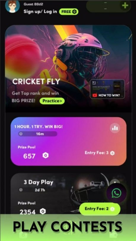 飞翔板球（Gamifly）