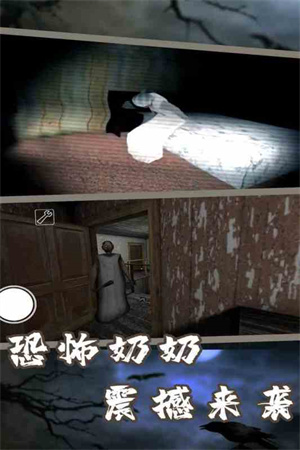 恐怖老奶奶7