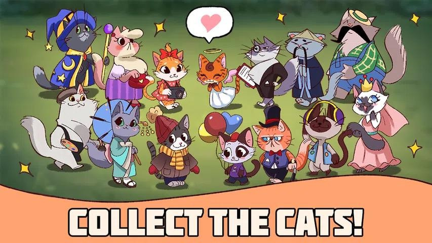 喵喵猫咖啡馆(Meows Cat Cafe)