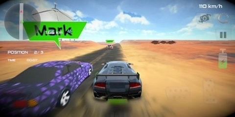 拉力赛车极速狂怒之战(Rally Car : Extreme Fury Race)