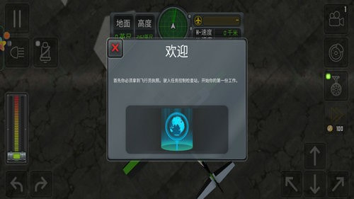 模拟飞行员