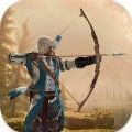 弓箭手刺客射击Archer Assassin
