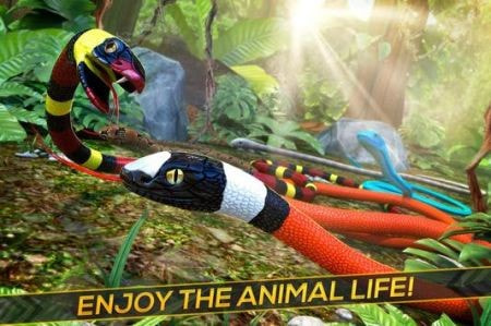 丛林蛇生存(Jungle Snake Survival)