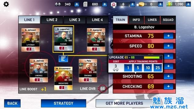 Hockey All Stars