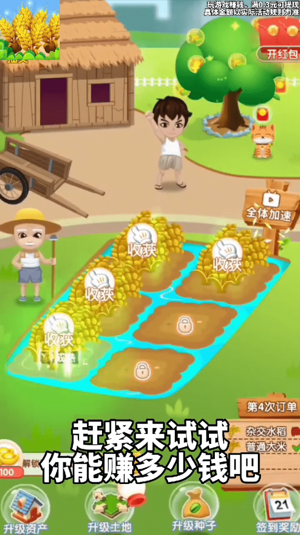 天天看大米