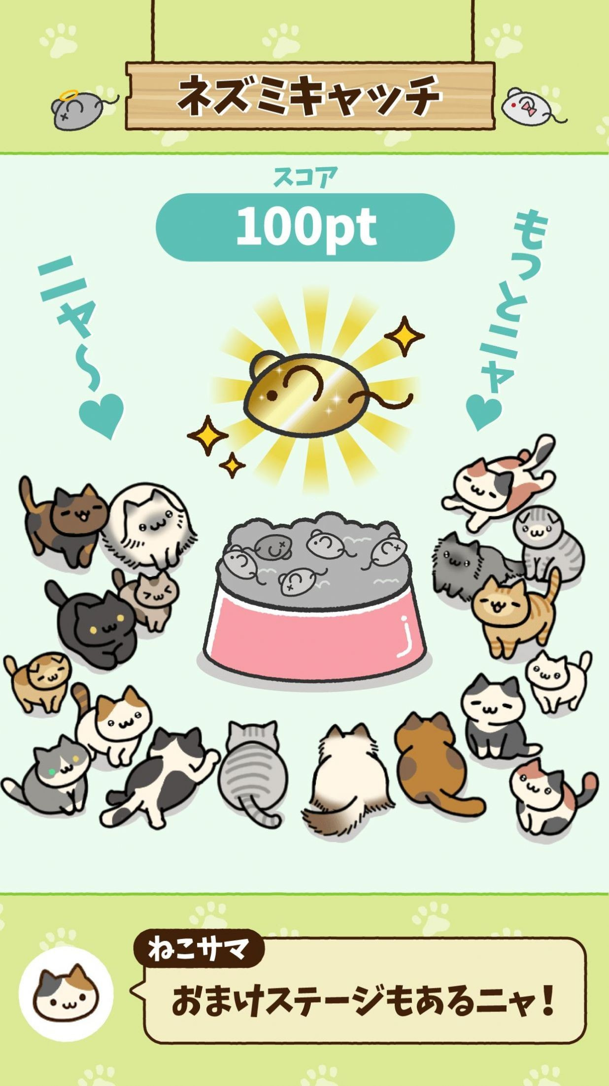 寻找猫咪(ねこさがし)
