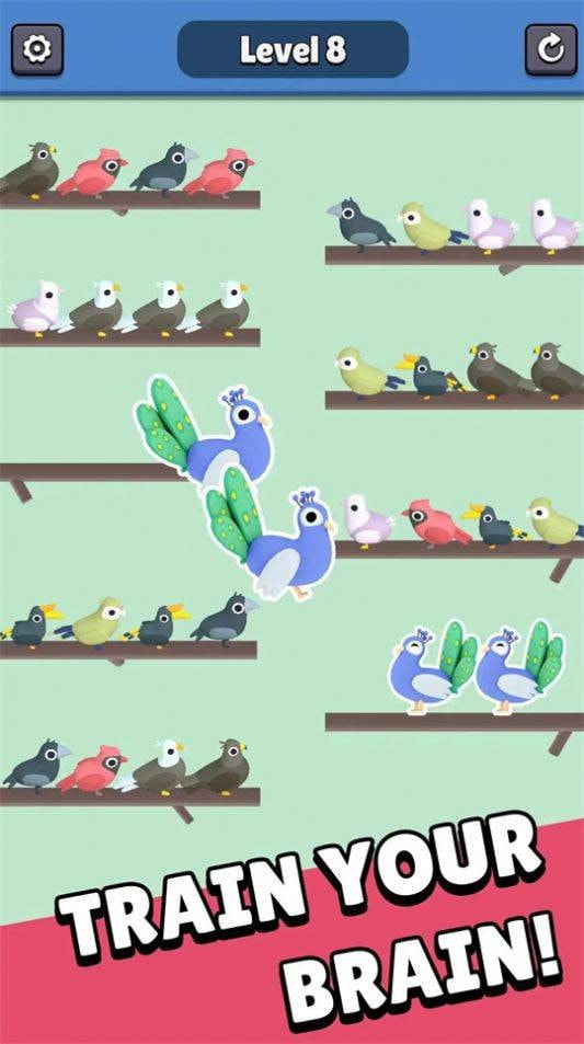 动物园排序3DZoo Sort 3D