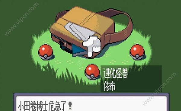 口袋妖怪冠军的旅程中文