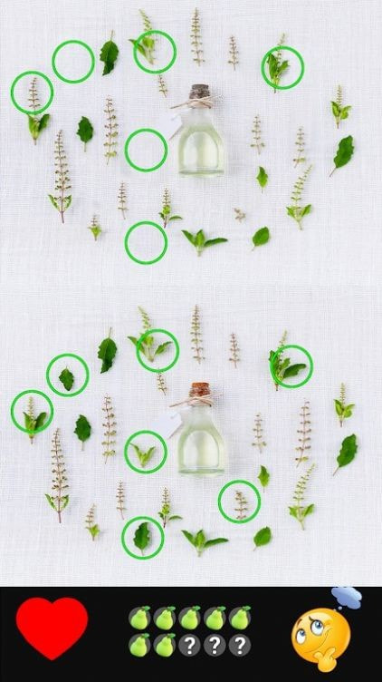 找不同找到所有(Pic Difference)