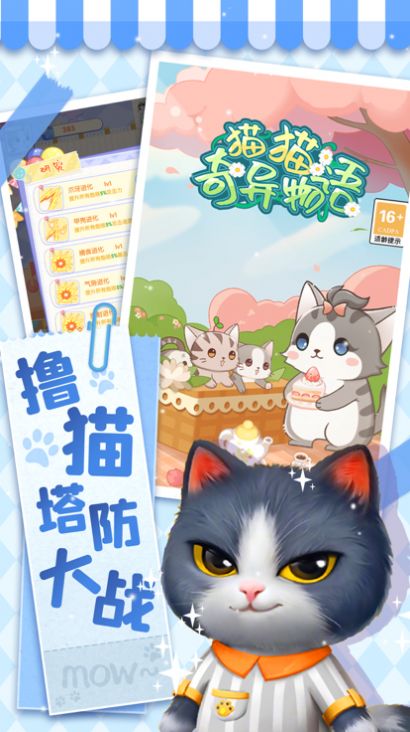 猫猫奇异物语