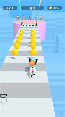 装扮宠物跑酷Dress Up Pet