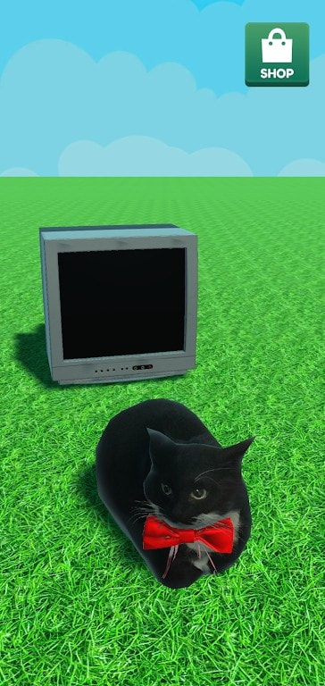 麦克斯韦的猫(MaxwellTheCat)