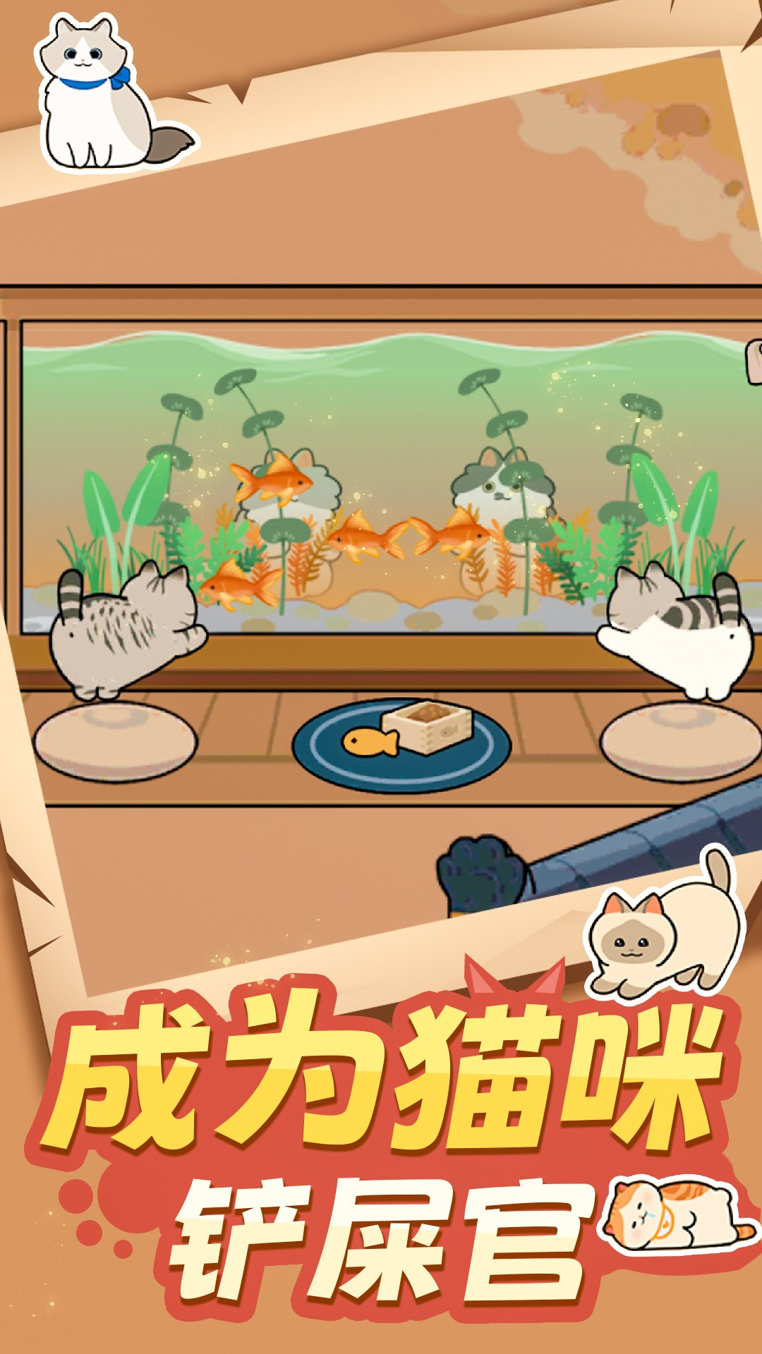 猫咪很可爱