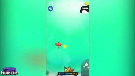鱼群诡计Fishy trick