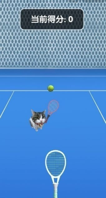 猫咪网球冠军