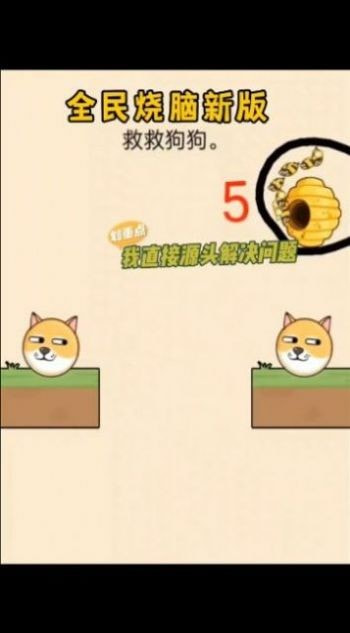 画线挡蜜蜂救救狗狗