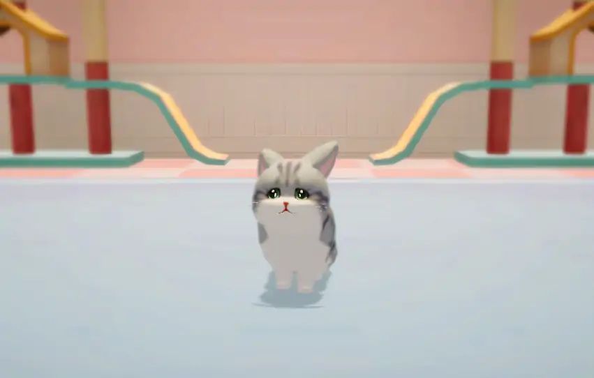 养了个猫联机版