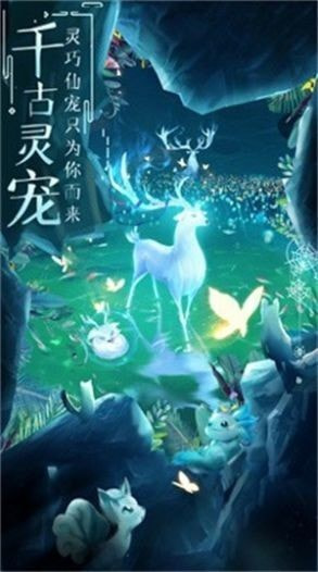 青龙寻仙