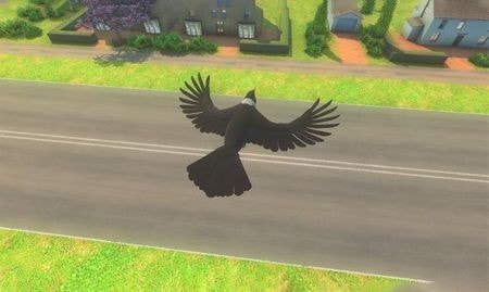 幻想乌鸦Fantasy Crow flying game