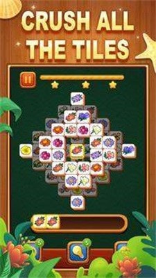 瓷砖喜悦连接Tile Joy