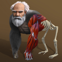 从细胞到人类（Idle Evolution From Cell To Human）
