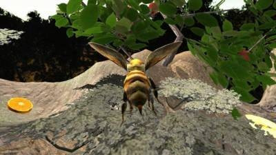 蜂巢模拟器3d(Bee Nest Simulation 3D)