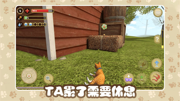猫咪农场