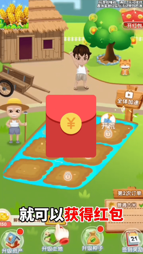 天天看大米
