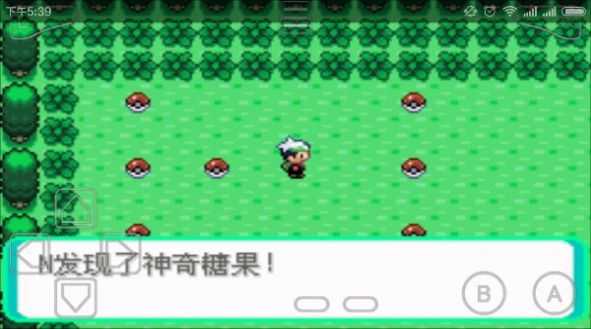森林里的可爱宝可梦们