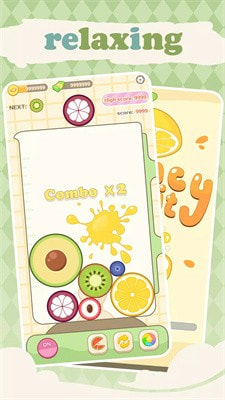 弹力水果2048Bouncy Fruit 2048
