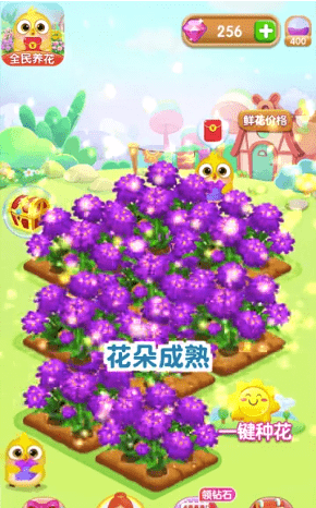 全民养花