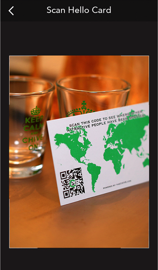 The Chivery - Official Store