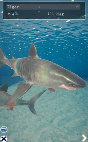 鲨鱼海洋(Shark)