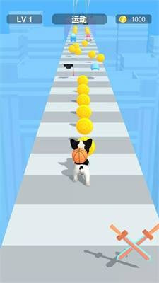 装扮宠物跑酷Dress Up Pet