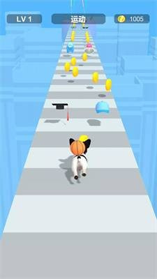 装扮宠物跑酷Dress Up Pet