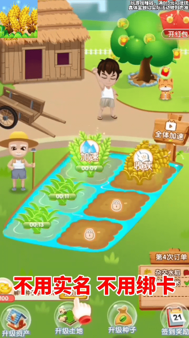 天天看大米