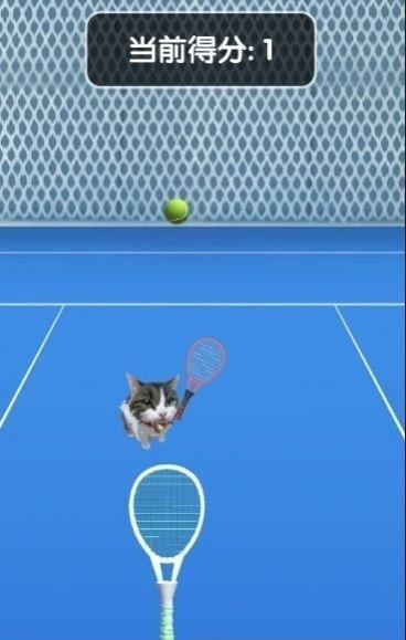 猫咪网球冠军