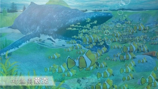 全民养鲨鱼