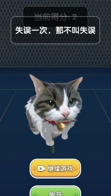猫咪网球冠军
