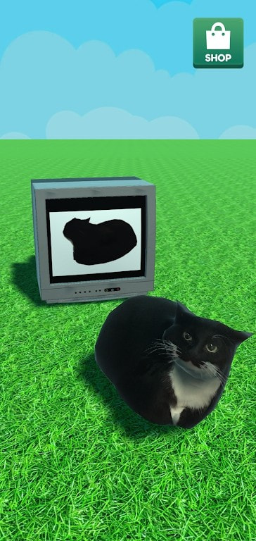 麦克斯韦的猫(MaxwellTheCat)