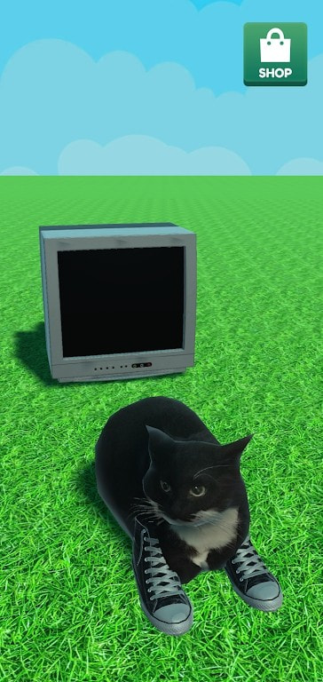 麦克斯韦的猫(MaxwellTheCat)