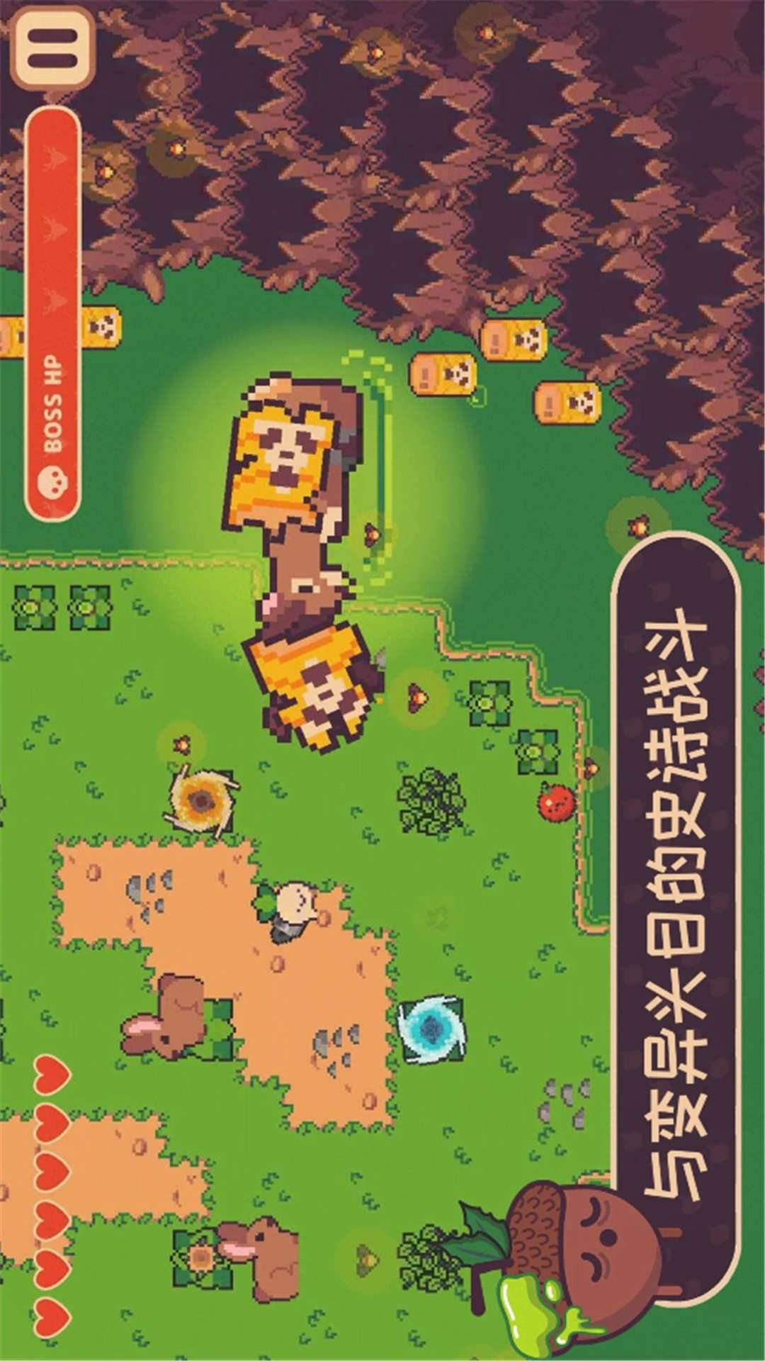大头菜小子